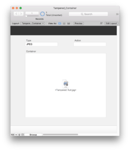 Dealing with Tampered Containers in FileMaker Pro