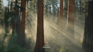 Apple Releases macOS Sequoia 15 – Is it Compatible with Claris FileMaker?